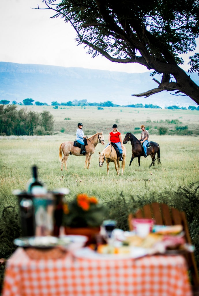 Harties Hiking Horse and Trails