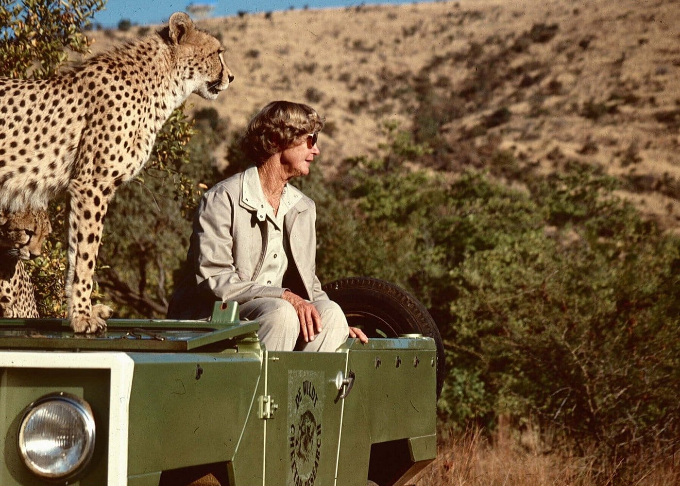Ann van Dyk Cheetah Centre