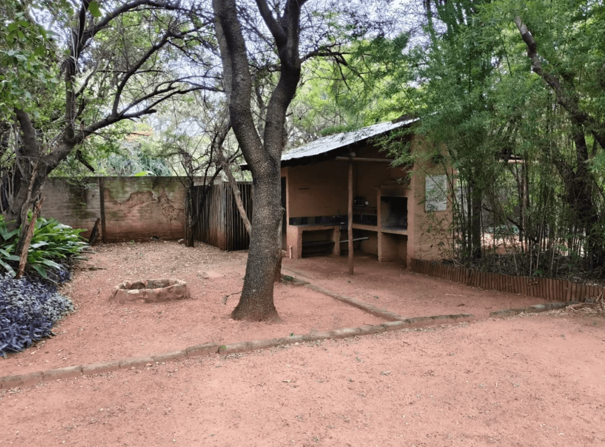 Campsite No. 3